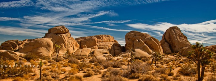 Joshua Tree National Park - Paul Reiffer - Landscape photography