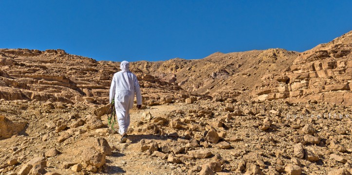 Bedouin Guide into the Coloured Canyon - Sinai, Egypt - Paul Reiffer, Professional Photographer