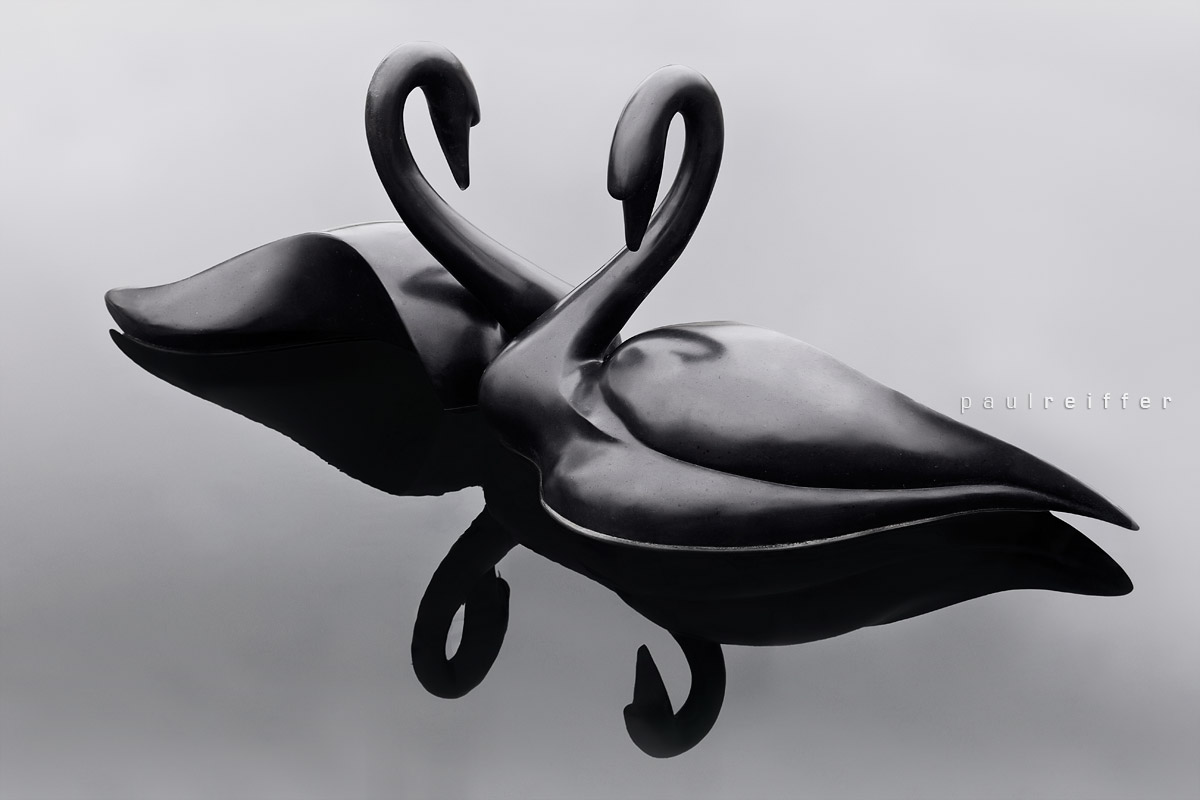 Black Swans - Sculpture By The Lakes - Simon Gudgeon - Dorset Sculpture Park - Pallington Lakes - Paul Reiffer Photographer
