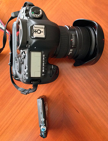 Nikon canon 5d S2600 comparison body