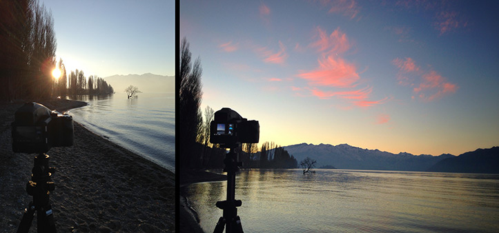 Photographing That Tree Lake Wanaka New Zealand Giottos Tripod Phase One 645DF iQ280 iPhone Picture