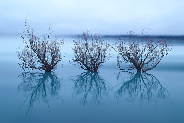 3 witches glenorchy willow trees morning mist long exposure blue sunrise winter cold paul reiffer professional landscape photographer new zealand lake wakatipu