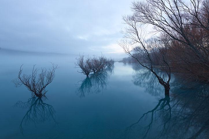 morning mist glenorchy lake wakatipu willow trees line sunrise cold winter