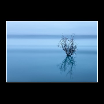 myst glenorchy new zealand willow landscape cityscape buy limited edition fine art photograph prints paul reiffer