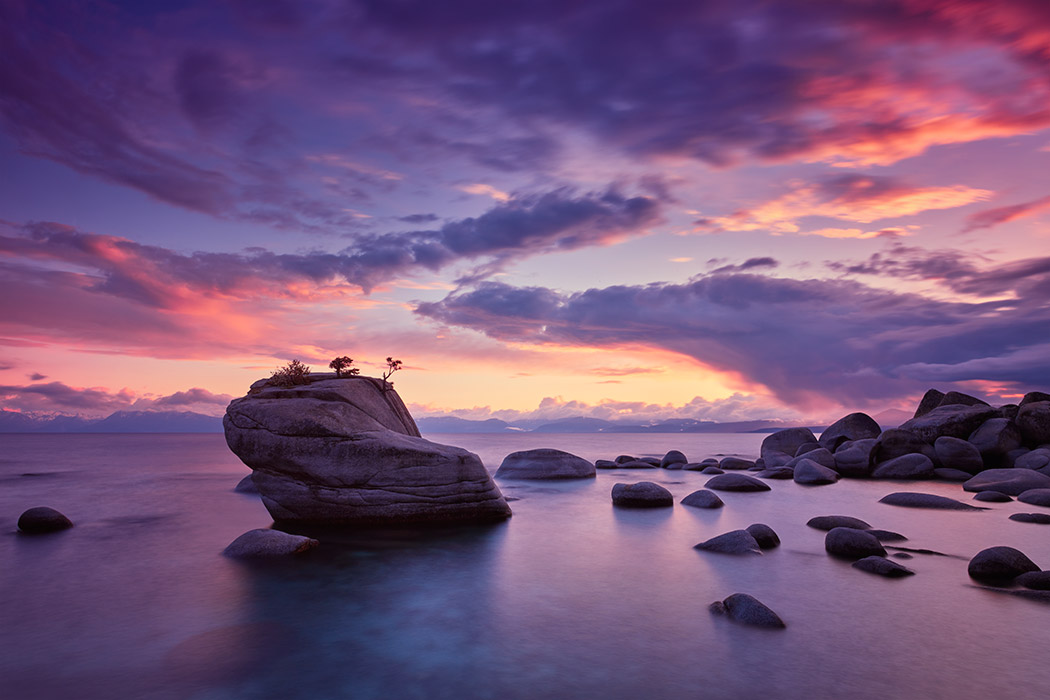 bonsai rock lake tahoe trees incline village nevada california city water sunset clouds landscape professional photographer paul reiffer usa discover