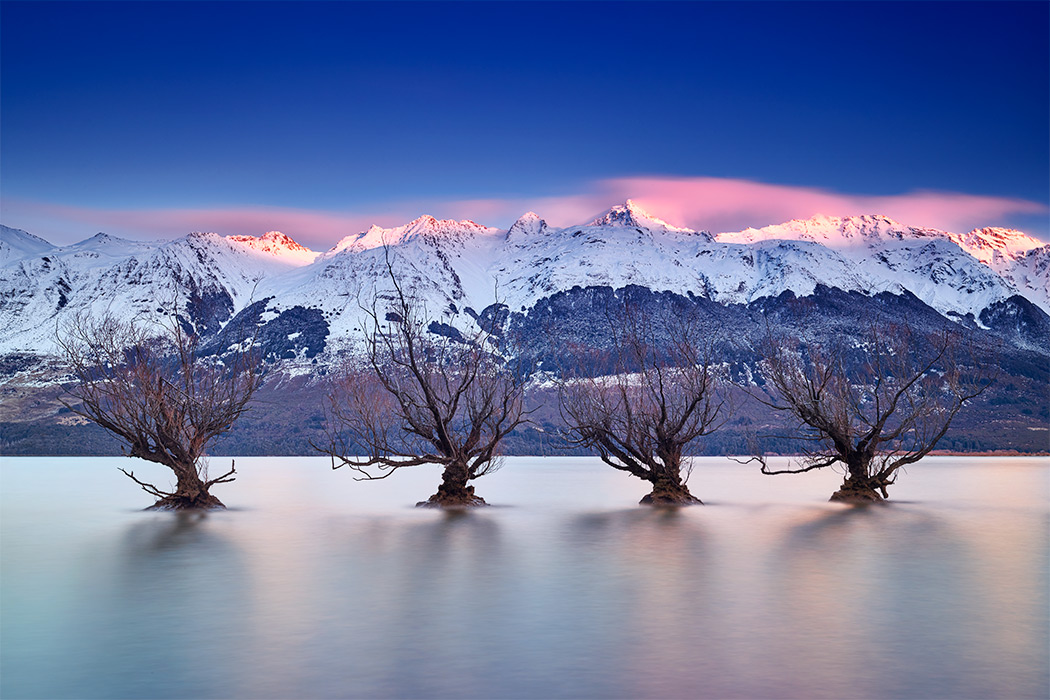 Glenorchy Willows Line Up Sunrise Remarkables Snow Mountains Lake Wakatipu Queenstown New Zealand Winter Paul Reiffer Professional Medium Format Landscape Photographer PureNewZealand