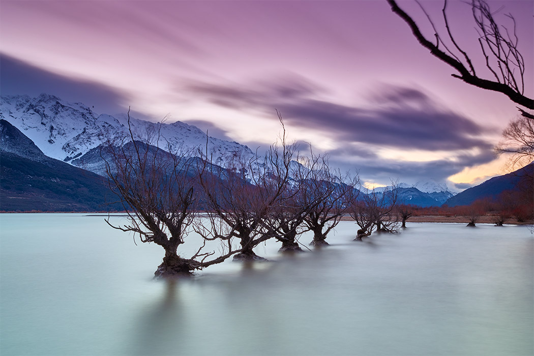 Glenorchy Willows Line Up Sunset Mountains Lake Wakatipu Queenstown New Zealand Winter Paul Reiffer Professional Medium Format Landscape Photographer PureNewZealand