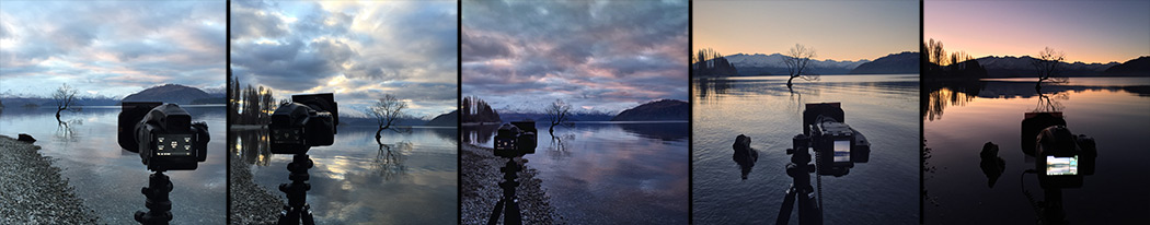 changing colours colors sky photographing that tree lake wanaka willow behind the scenes phase one sunset paul reiffer photographer professional