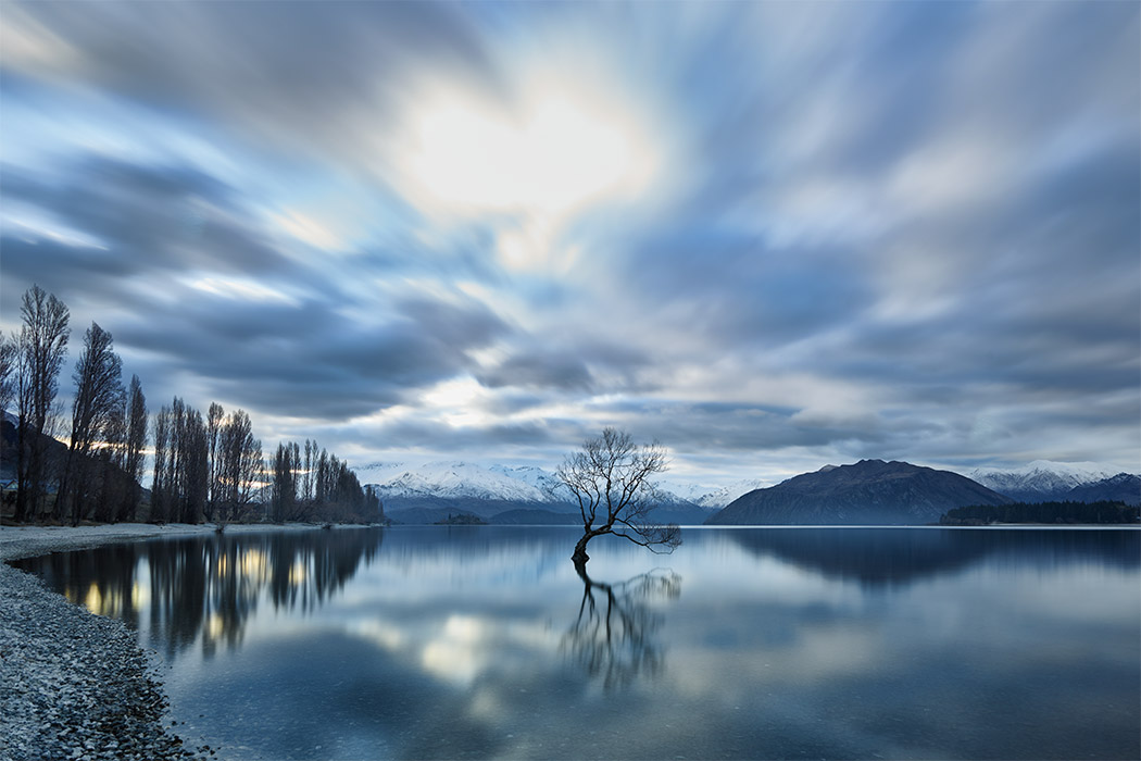 lake wanaka that tree willow cold ice blue snow lone alone still paul reiffer professional commercial landscape photographer new zealand winter water