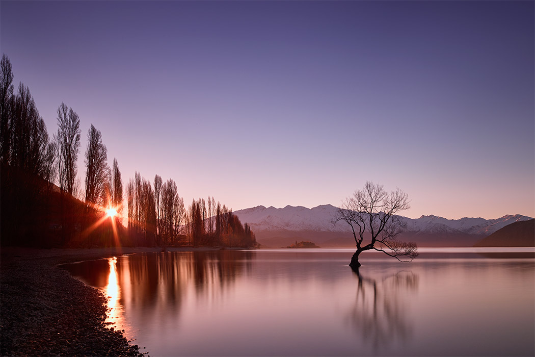 lake wanaka that tree willow sunset flare star burst lone alone still paul reiffer professional commercial landscape photographer new zealand winter water