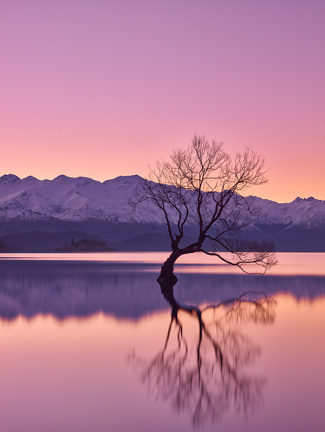 lake wanaka that tree willow sunset lone alone still paul reiffer professional commercial landscape photographer new zealand winter water