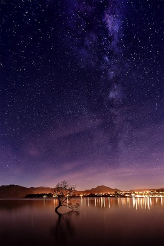 Lake Wanaka That Tree Willow Night Sky Photography New Zealand Milky Way Star Shooting Paul Reiffer Professional Landscape Photographer