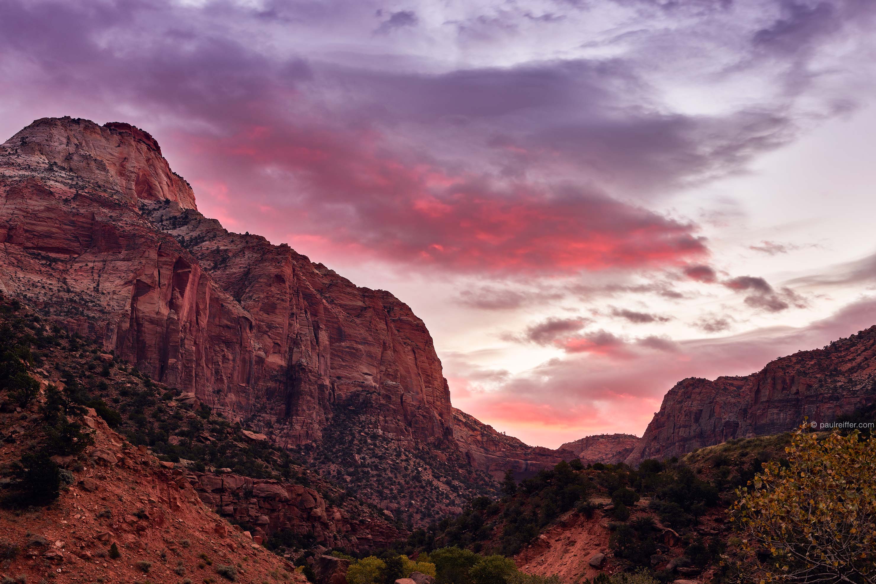 First Light : Sunrise at Zion National Park | Paul Reiffer - Photographer