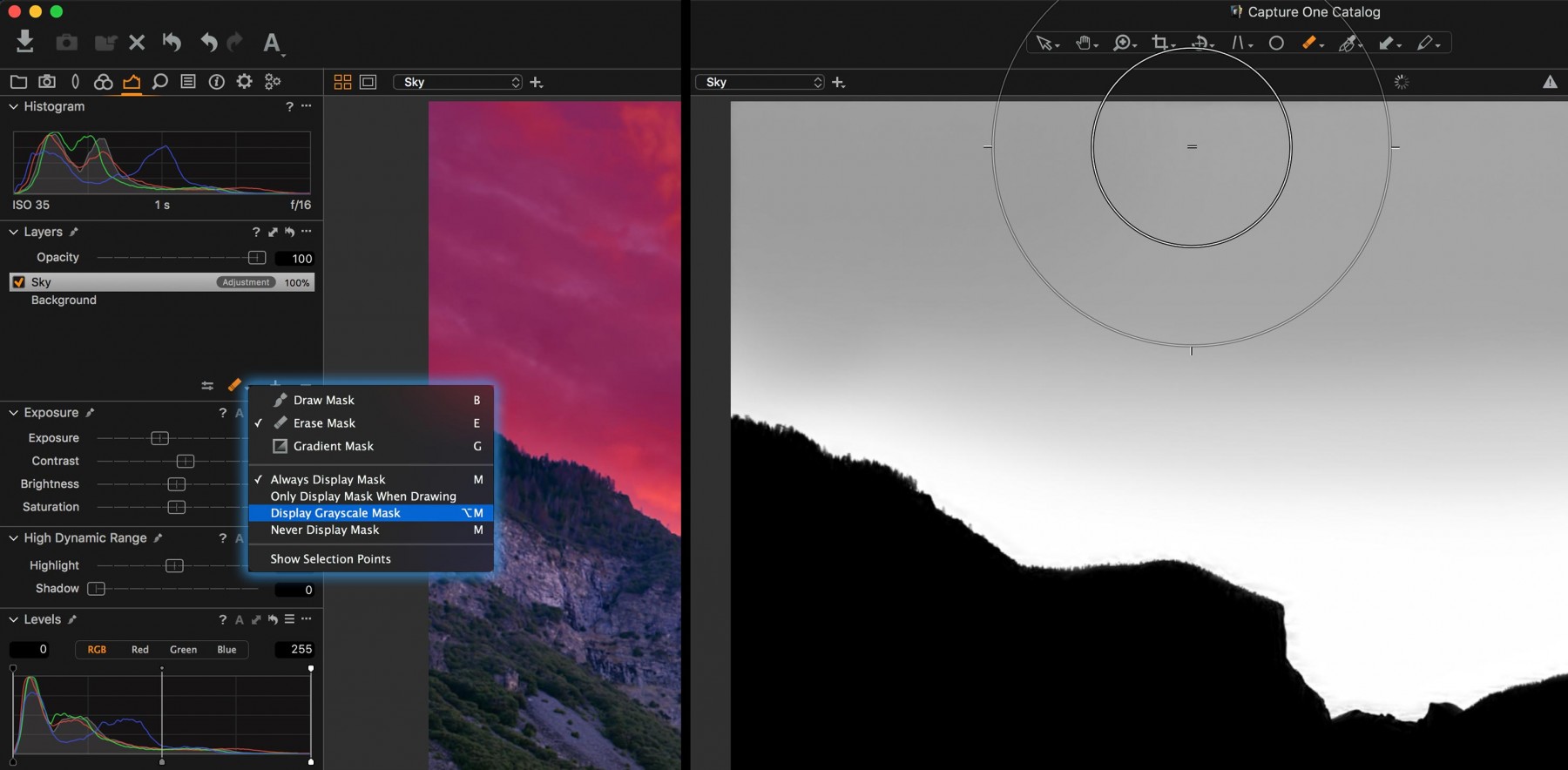 Capture One Advanced Masks & Adjustments, Bridging the Filter Gap