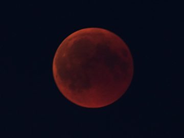 How To Capture Shoot Photograph Blood Moon Guide Too Slow Shutter Equals Blurry Moon At Full Zoom Paul Reiffer Professional Photographer Guide
