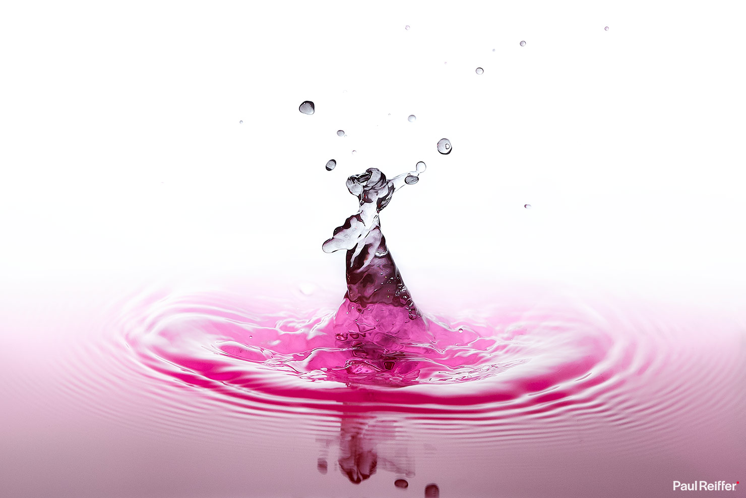 Water Droplets Drop Photography Freeze Flash Close Up Macro Slow Motion Paul Reiffer Pink White Animal Reach