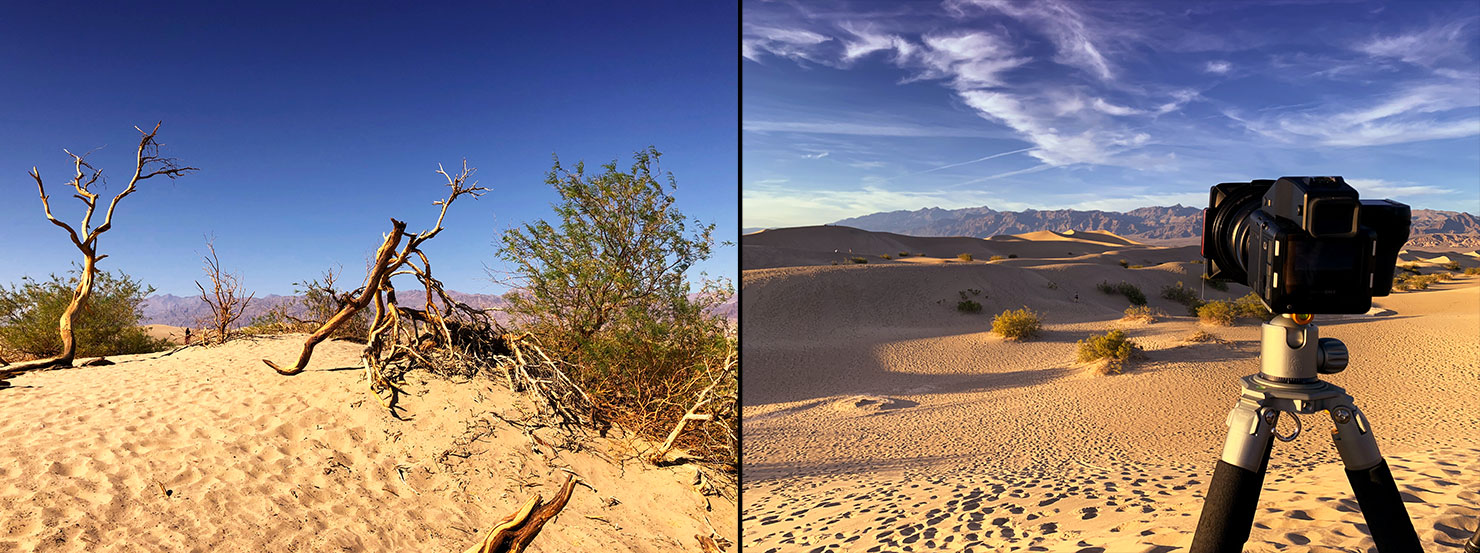 BTS Death Valley Heat Mesquite Dunes Sand Dead Trees Paul Reiffer Photographer Best Workshop Death Valley How To Shoot Phase One