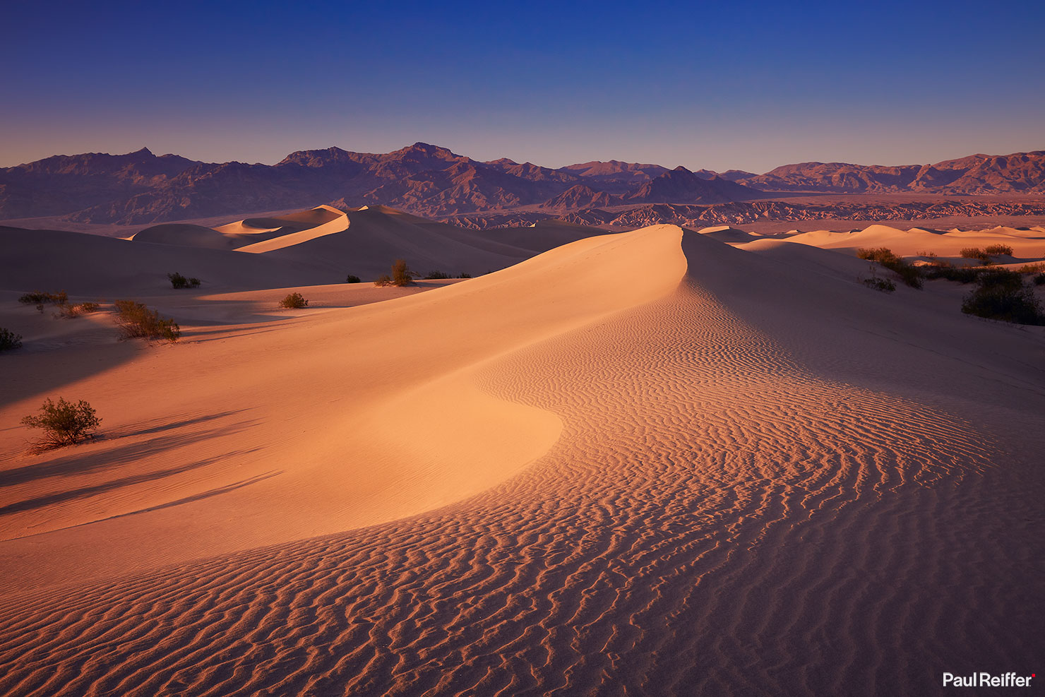 Death Valley Mesquite Sand Dunes Sunset Empty Paul Reiffer Photographer Professional Workshop Medium Format Shadows How To Guide