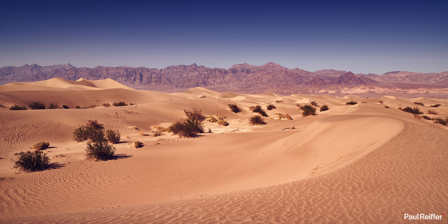 Death Valley Spring Mesquite Sand Dunes Professional Photography Golden Hour Paul Reiffer Phase One IQ4 How To Guide Best Workshop