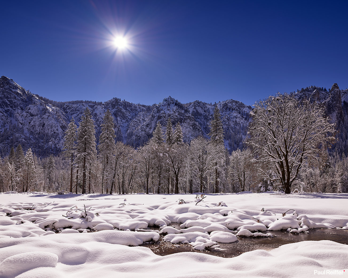Yosemite Meadow Winter Tree Snow Ice Frozen River Paul Reiffer Phase One Medium Format Photographer Sun Flare