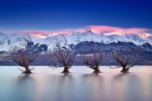 Paul Reiffer New Zealand South Island North Photography Workshop Locations Glenorchy Willow Trees Southern Alps Water