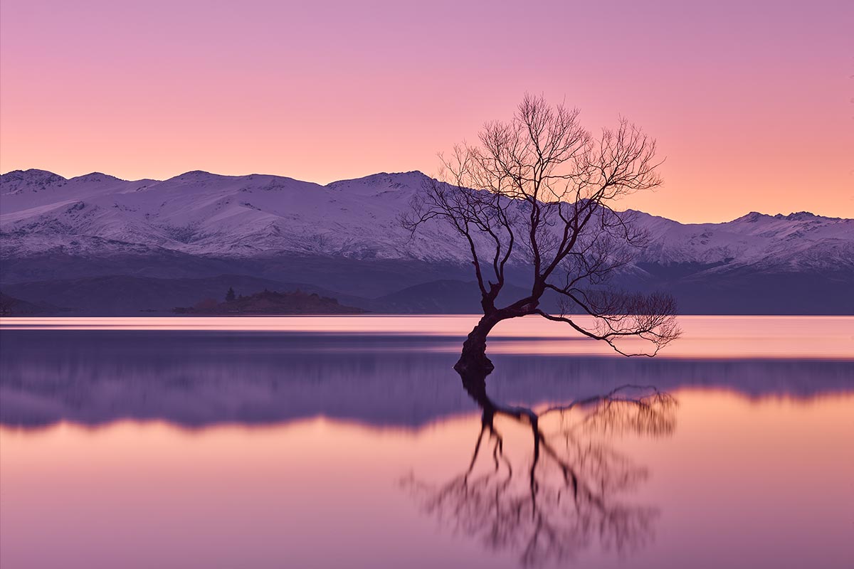Paul Reiffer New Zealand South Island North Photography Workshop Locations That Wanaka Tree Lake Willow Sunset