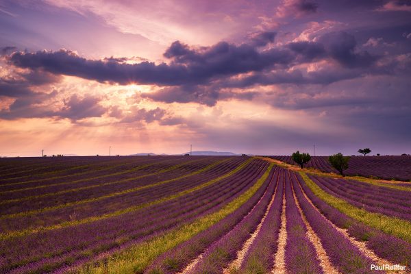 lavender fields provence france plateau de valensole 2019 sunset clouds lines paul reiffer photographer phase one 150mp iq4 xf