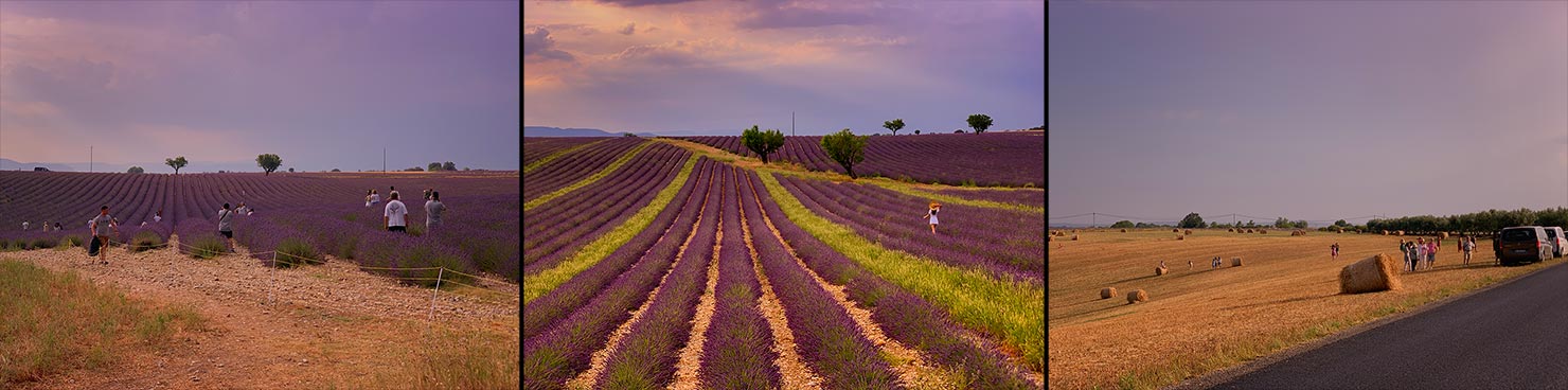 reality of photographing lavender fields provence france valensole influencers wannabe instagram hats straw dresses workshops photography july summer