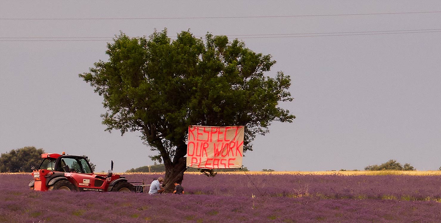 respect our work please sign tractor french farmer lavender field provence plateau de valensole instagrammers ruining places scenery