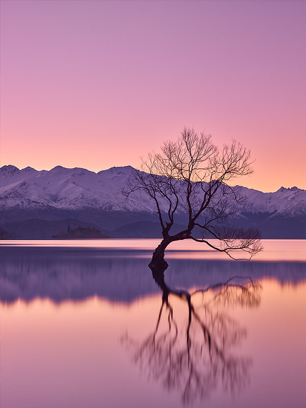 paul reiffer image licensing non exclusive licensing ooh buy out example usage rights new zealand wanaka sunset landscape phase one high resolution image