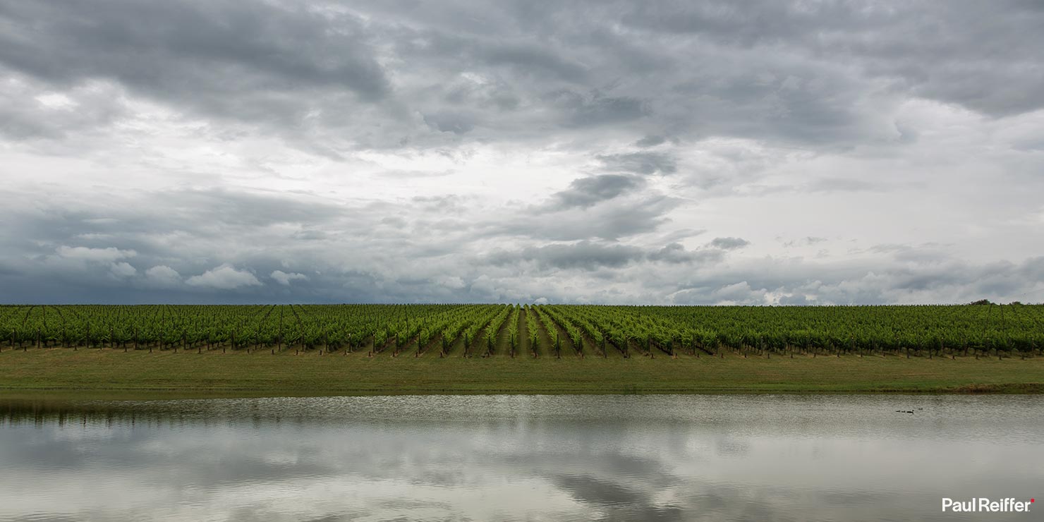 Oakridge Winery Vineyard Yarra Valley Melbourne Victoria Paul Reiffer Photographer Line Vines Horizontal Landscape Panoramic Pano River Water Clouds