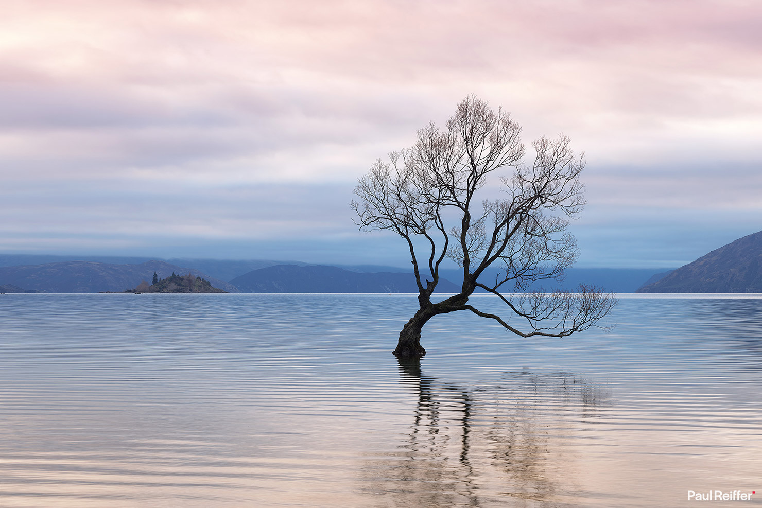 Wanaka Tree New Zealand Short Exposure Paul Reiffer Capture One 20 Upgrade Version Phase One