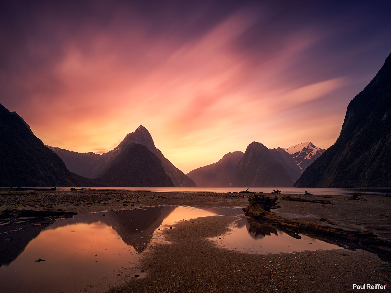 Milford Sound Sunset Moody Colour Tree Wood Old Trunk Reflections Mitre Peak Paul Reiffer Phase One Photographer Medium Format New Zealand