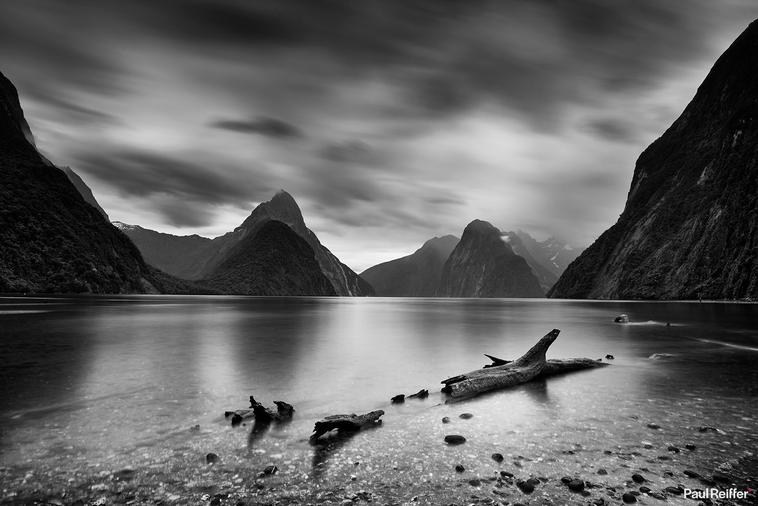 Milford Sound Tree Trunk Black White Reflections Monochrome Achromatic Phase One Long Exposure Paul Reiffer Professional Landscape Photographer New Zealand