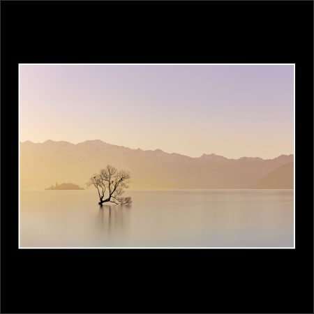 product picture Alone Lake Wanaka Tree Willow Water Mountains Still Reflection buy limited edition print paul reiffer photograph photography