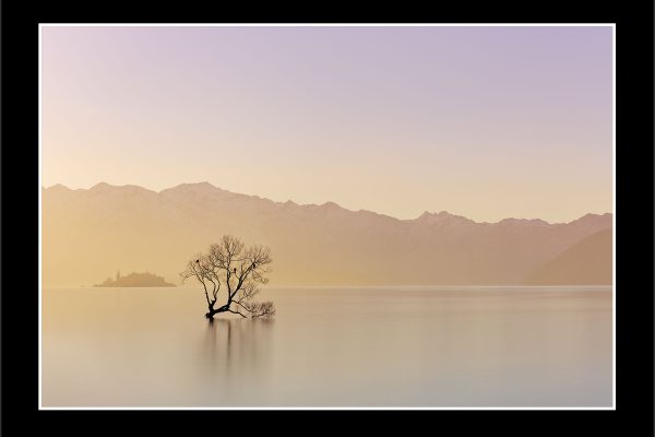 product picture Alone Lake Wanaka Tree Willow Water Mountains Still Reflection buy limited edition print paul reiffer photograph photography