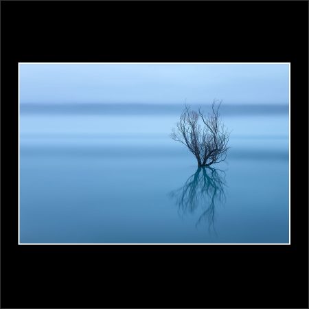 product picture Myst New Zealand Glenorchy Willow Trees Water Fog Mist Abstract Winter buy limited edition print paul reiffer photograph photography