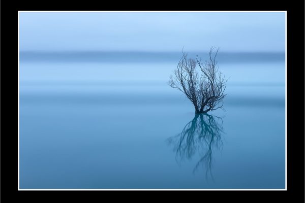 product picture Myst New Zealand Glenorchy Willow Trees Water Fog Mist Abstract Winter buy limited edition print paul reiffer photograph photography