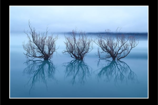 product picture Three Witches Glenorchy Willow Trees Lake Winter Frost Ice Mist Morning New Zealand buy limited edition print paul reiffer photograph photography