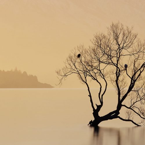 alone Lake Wanaka New Zealand buy limited edition photograph landscape Detail