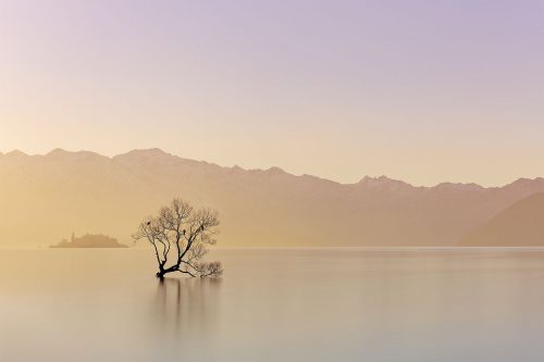 alone Lake Wanaka New Zealand buy limited edition photograph landscape Full