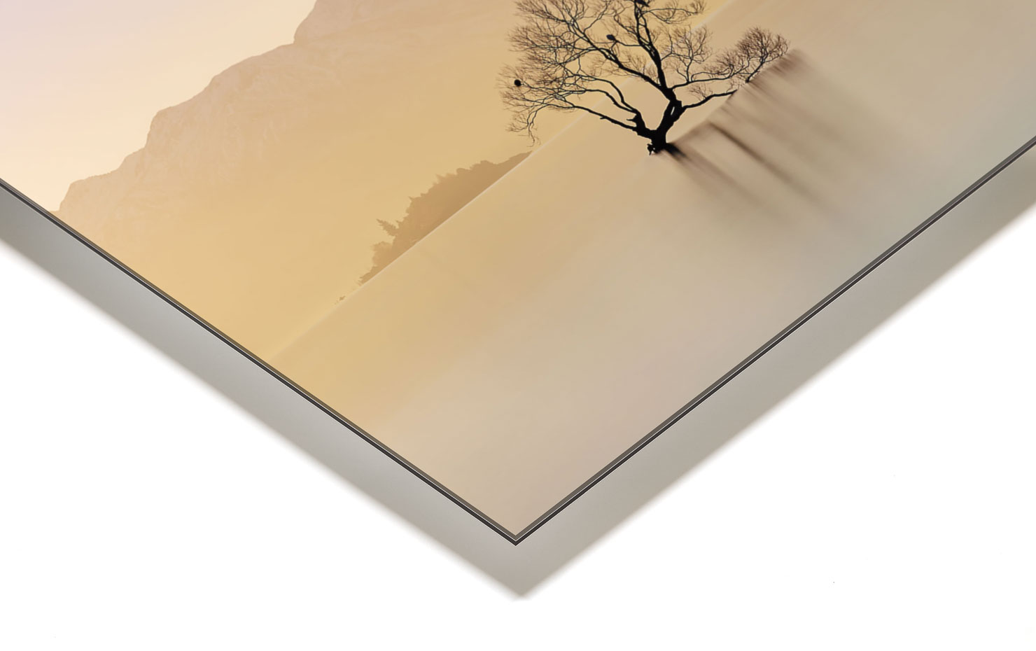 alone Lake Wanaka New Zealand buy limited edition photograph landscape Full Acrylic Aluminium Metal Frame Paul Reiffer