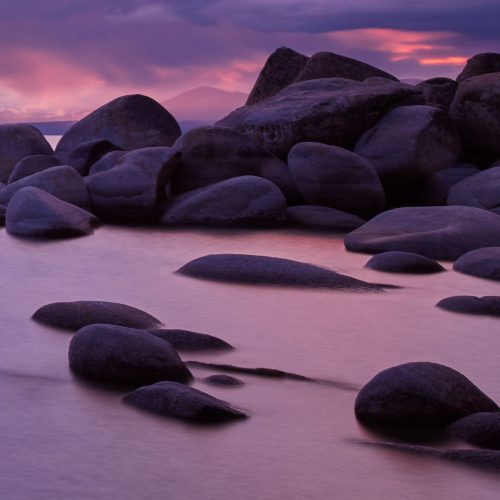 bonsai Lake Tahoe USA buy limited edition photograph landscape Detail
