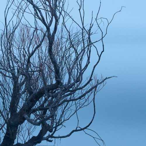 myst Glenorchy New Zealand buy limited edition photograph landscape Detail