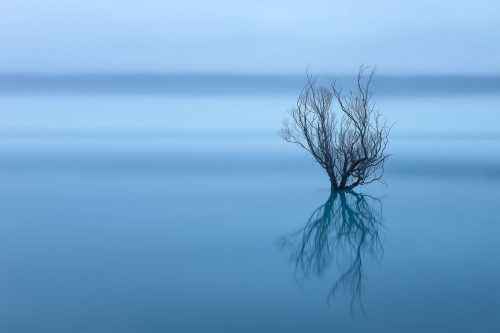 myst Glenorchy New Zealand buy limited edition photograph landscape Full