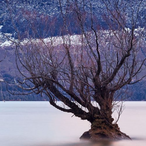 rise up Glenorchy New Zealand buy limited edition photograph landscape Detail