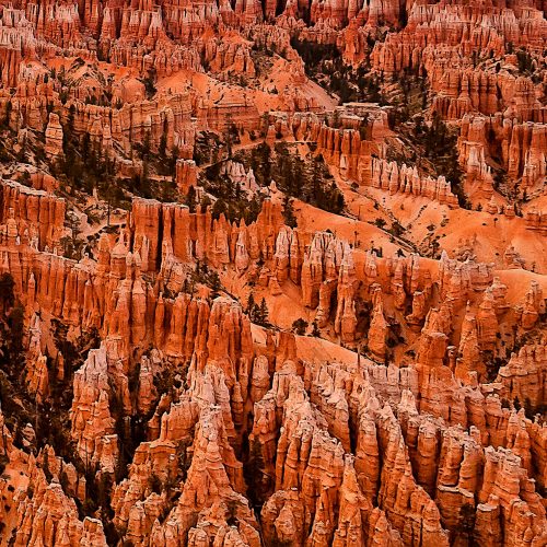 rock of ages Bryce Canyon National Park USA buy limited edition photograph landscape Detail