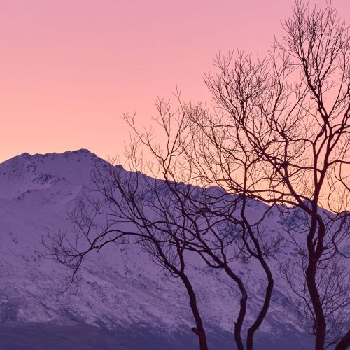 still Lake Wanaka New Zealand buy limited edition photograph landscape Detail
