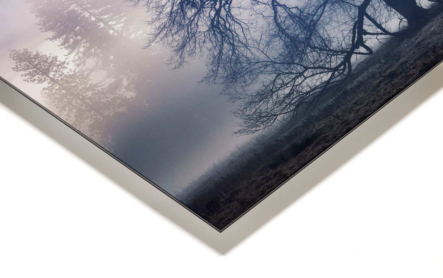 the faraway tree Yosemite Valley California buy limited edition photograph landscape Full Acrylic Aluminium Metal Frame Paul Reiffer