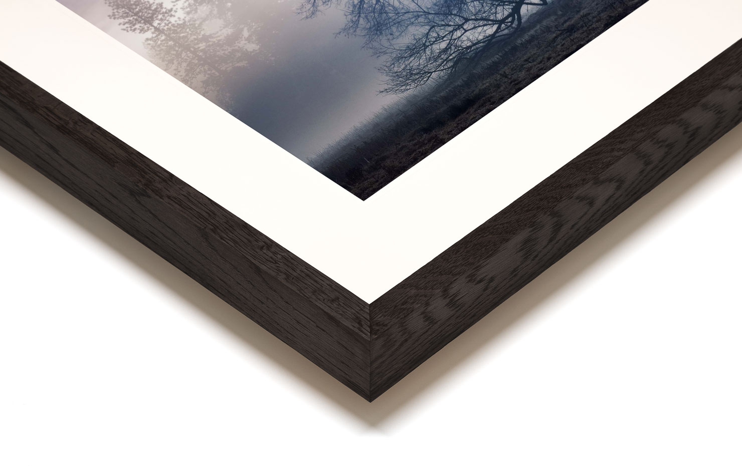 the faraway tree Yosemite Valley California buy limited edition photograph landscape Full Dark Solid Wood Frame Paul Reiffer